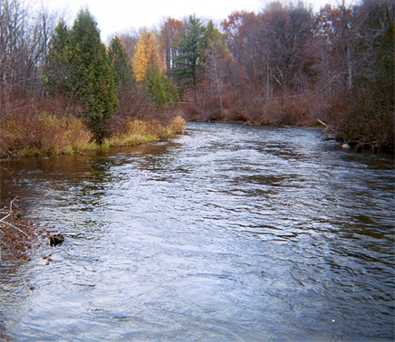 River in Oscoda, MI
